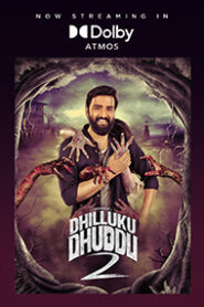 Dhilluku Dhuddu 2